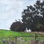 Blacksburg Virginia Farm Landscape Painting