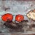 Tomato and Bread Still Life Painting