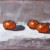 Clementine Oranges Still Life Painting