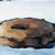 Glazed Donut Still Life Painting
