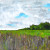 Virginia Farm Landscape Painting