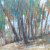 San Diego Oil Landscape Painting