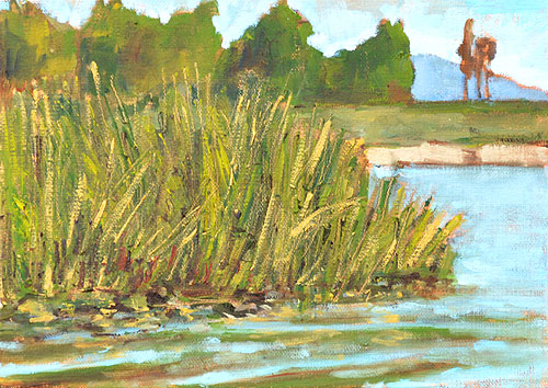 Lake Murray Painting, San Diego