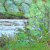 San Diego River Landscape Painting