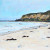 Crystal Cove Laguna Beach Painting