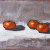 Clementines Still Life Painting