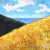 Laguna Canyon Landscape Painting