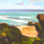 Ocean Beach Painting San Diego Plein Air